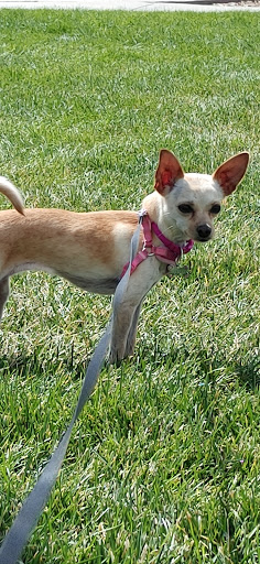 Park «Wildflower Park», reviews and photos, 980 Nolte Dr N, Colorado Springs, CO 80916, USA