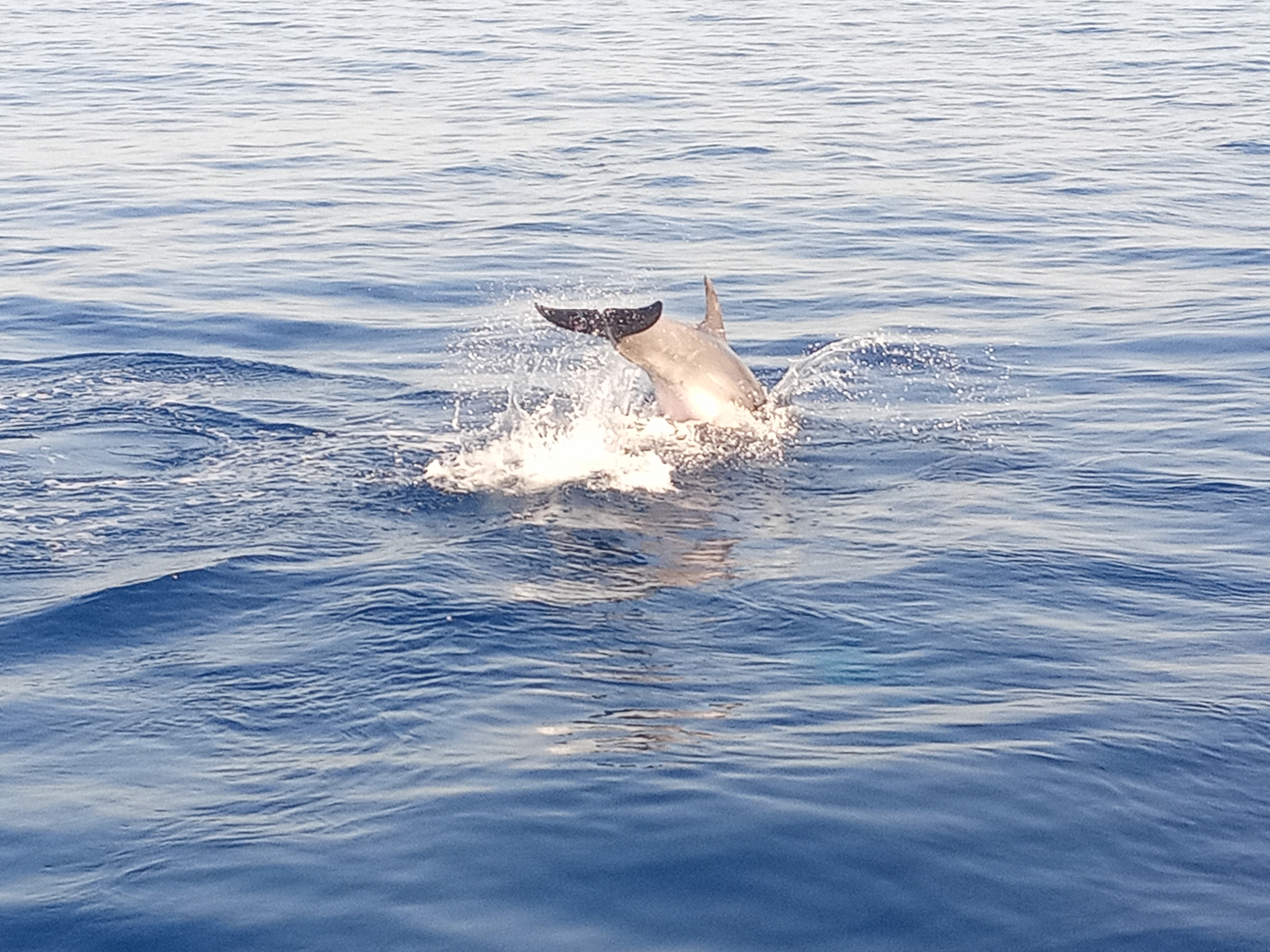 Photo n° 2 de l'avis de Audrey.o fait le 26/08/2021 à 14:24