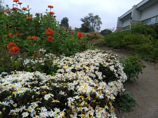 Community Center «Southeast Community Center», reviews and photos, 4201 E 63rd St, Kansas City, MO 64130, USA