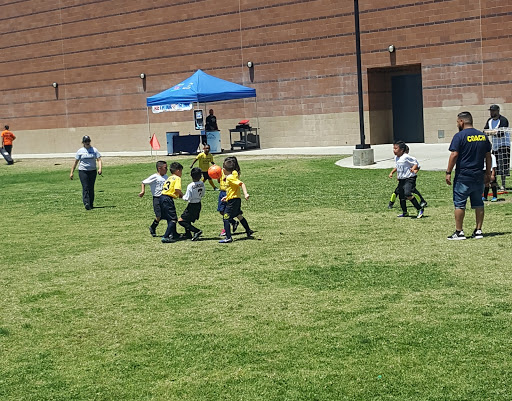 Sports Complex «Norwalk Arts & Sports Complex», reviews and photos