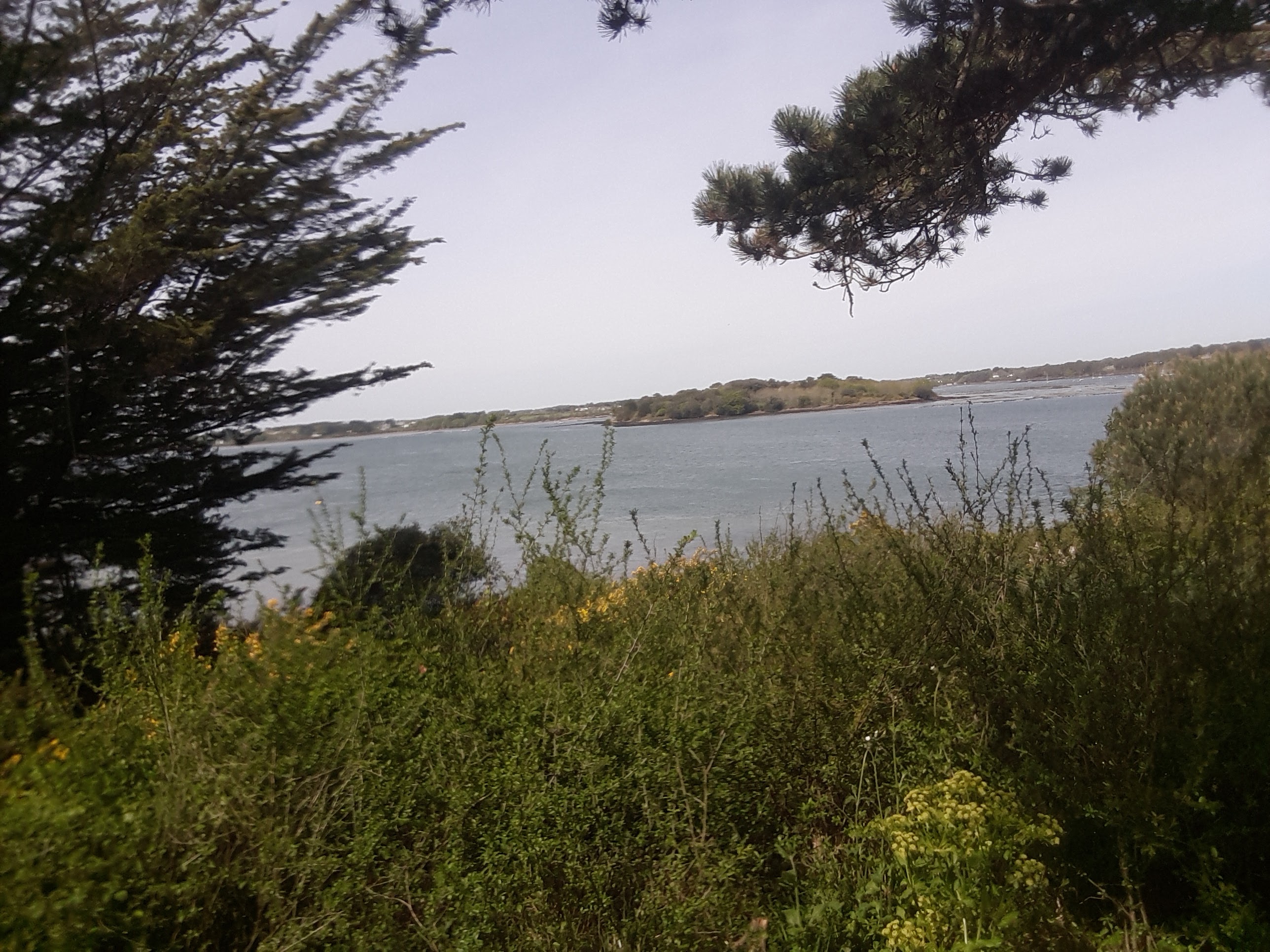 Photo n° 1 de l'avis de Olivier.a fait le 17/04/2019 à 13:49