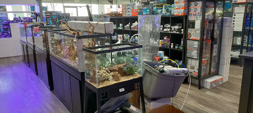 Tropical Fish Store «Aquarium Artisans», reviews and photos, 8005 Plainfield Rd #11, Cincinnati, OH 45236, USA