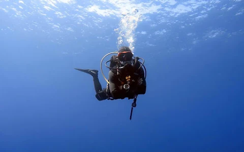 Calypso Dive Center image