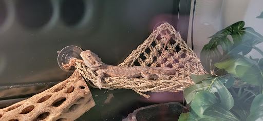 Pet Supply Store «Petco Animal Supplies», reviews and photos, 1410 N Loop 336 W, Conroe, TX 77304, USA