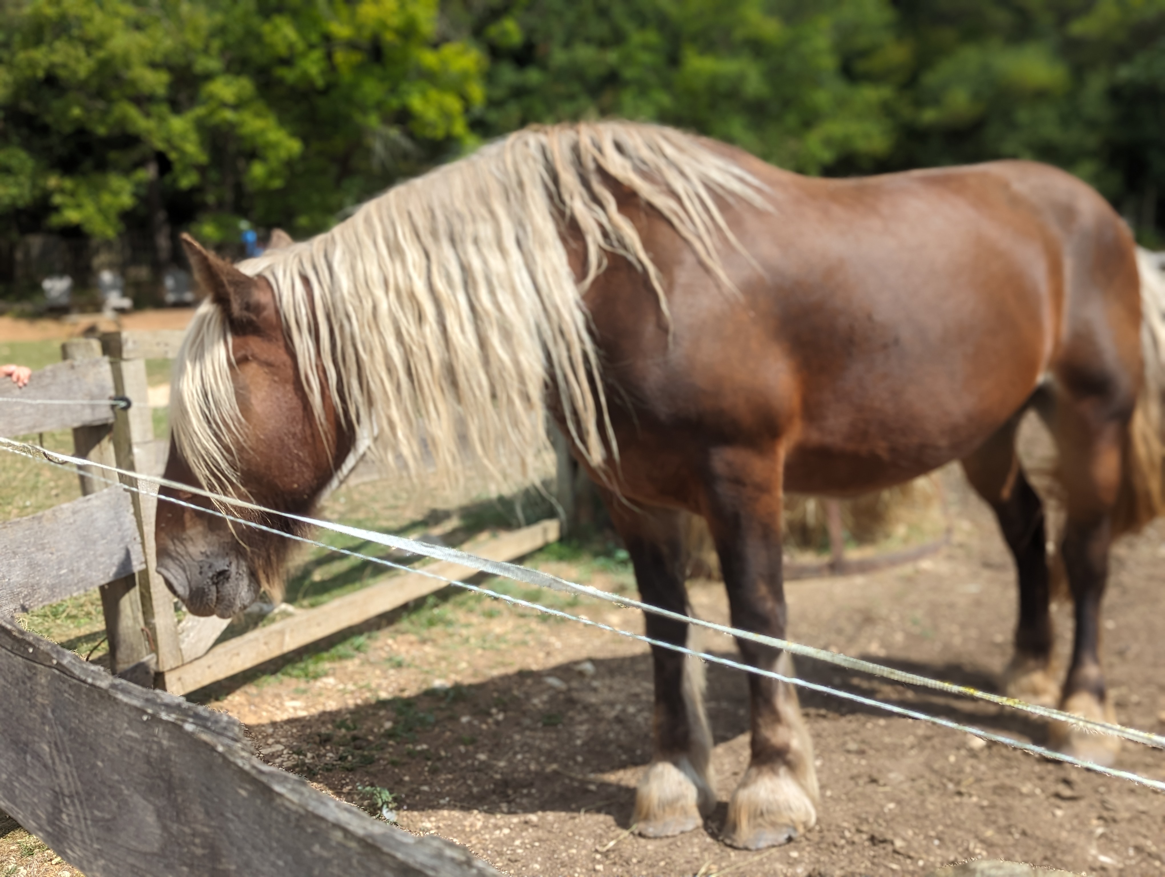 Photo n° 11 de l'avis de Laurie.a fait le 01/09/2023 à 13:19