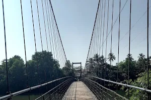 Padnekkad Hanging Bridge image