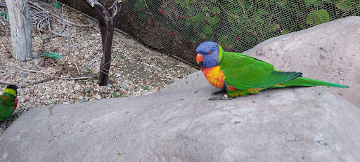 Gift Shop «Pacific Collections Gift Shop», reviews and photos, 100 Aquarium Way, Long Beach, CA 90802, USA