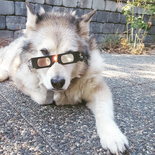 Explore dark side of the moon tattoo ideas, creative tattoo ideas in Hood River, available at Hood River Tattoo