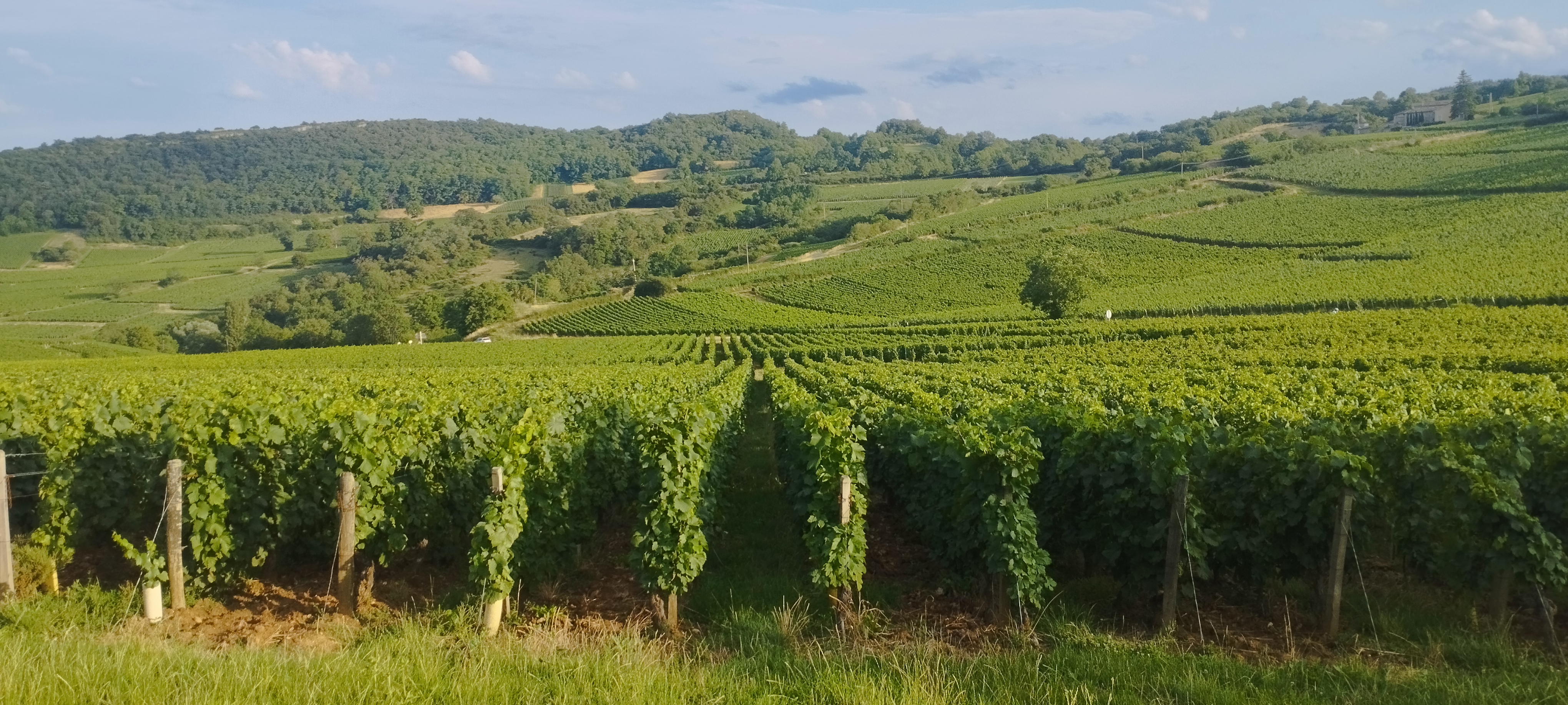 Photo n° 3 de l'avis de Bertrand.a fait le 11/08/2023 à 18:47