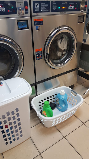 Laundromat «Busy Bees Coin Laundromat & Dry Cleaning», reviews and photos, 12390 Quail Roost Dr, Miami, FL 33177, USA