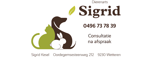 Dierenarts Sigrid - Gent