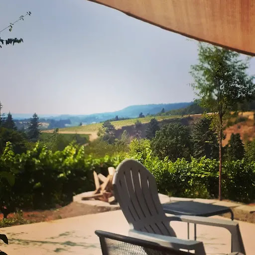 Vineyard «Archer Vineyard, Winery & Tasting Room», reviews and photos, 32230 NE Old Parrett Mountain Rd, Newberg, OR 97132, USA