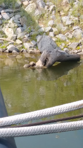 Maritime Museum «Arkansas Inland Maritime Museum», reviews and photos, 120 Riverfront Park Dr, North Little Rock, AR 72114, USA