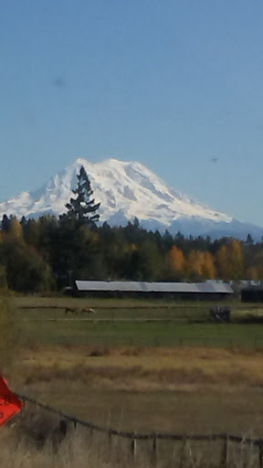 Gun Shop «County Line Shooting Sports», reviews and photos, 35502 WA-507, McKenna, WA 98558, USA