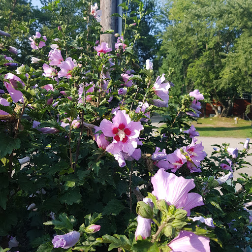 Campground «Boston / Cape Cod KOA Holiday», reviews and photos, 438 Plymouth St, Middleborough, MA 02346, USA