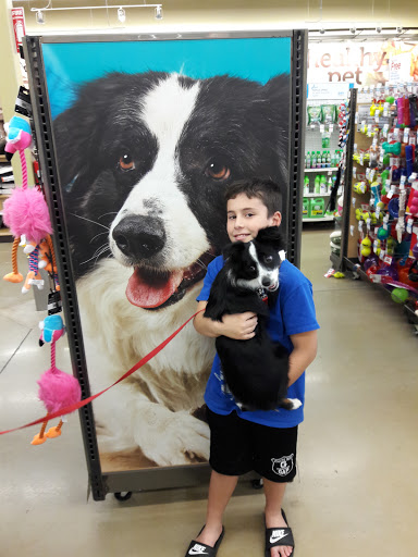 Pet Supply Store «Petco Animal Supplies», reviews and photos, 21348 Kuykendahl Rd, Spring, TX 77379, USA