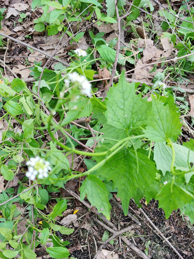 Home Improvement Store «The Home Depot», reviews and photos, 955 N Randall Rd, Elgin, IL 60123, USA