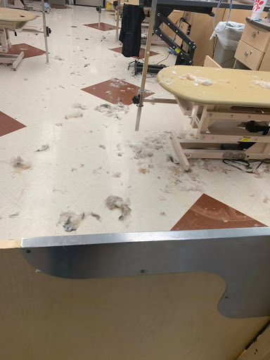 Pet Supply Store «PetSmart», reviews and photos, 2901 Texas Sage Trail, Fort Worth, TX 76177, USA