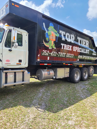Top Tier Tree Specialist