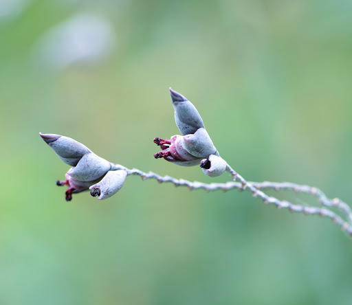 Nature Preserve «Creasey Mahan Nature Preserve», reviews and photos, 12501 Harmony Landing Rd, Goshen, KY 40026, USA