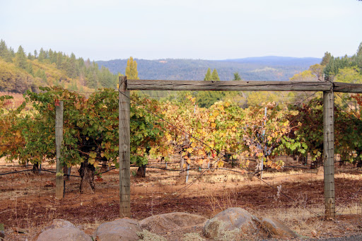 Winery «Lava Cap Winery», reviews and photos, 2221 Fruitridge Rd, Placerville, CA 95667, USA