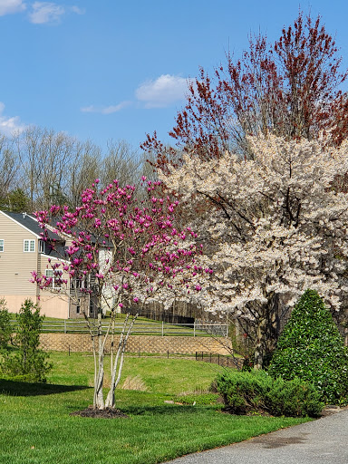 Park «Gough Park», reviews and photos, 9300 Honeygo Blvd, Perry Hall, MD 21128, USA