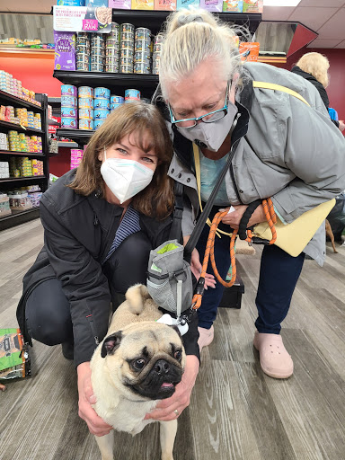 Pet Supply Store «All Island Pet Supplies», reviews and photos, 1177 Middle Country Rd, Middle Island, NY 11953, USA