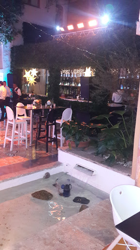 Lulú Tasting Bar