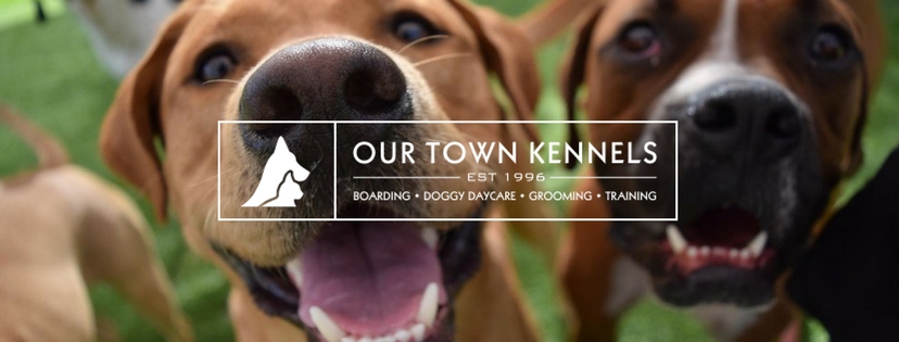 Our Town Kennel