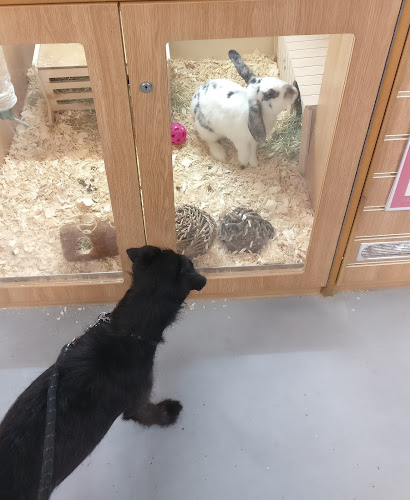 Pets at Home Bournemouth - Bournemouth