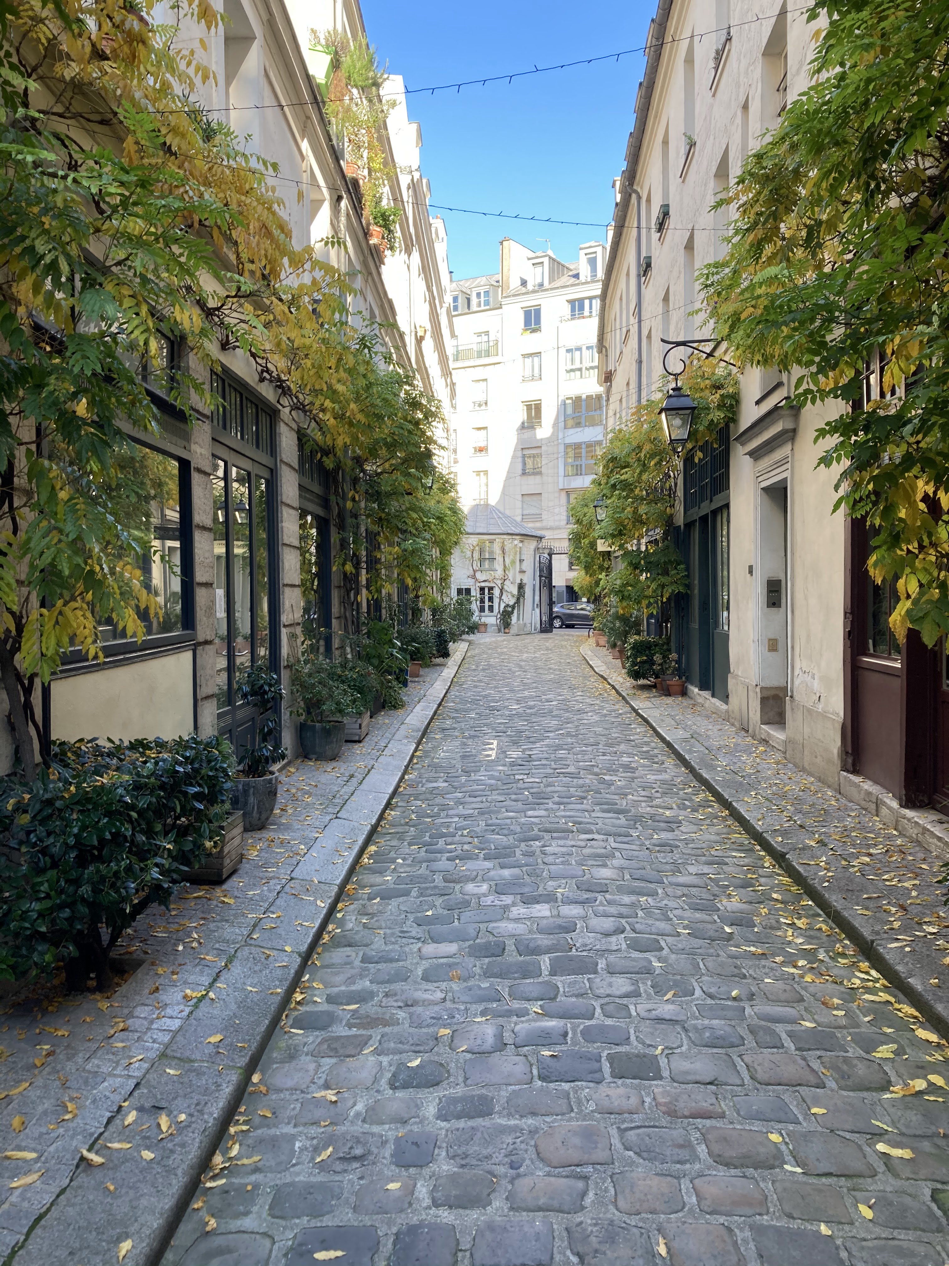 Photo n° 4 de l'avis de pascal.r fait le 28/11/2020 à 18:32