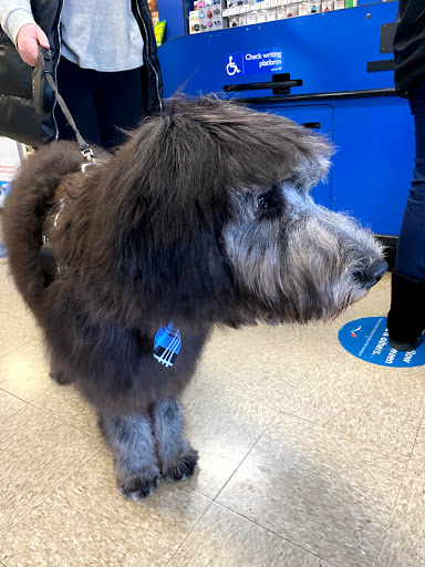 Pet Supply Store «PetSmart», reviews and photos, 971 Norland Ave, Chambersburg, PA 17201, USA