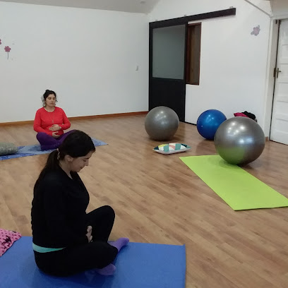 Pilates en Villarrica