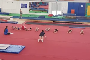 Whangarei Academy Of Gymnastics image