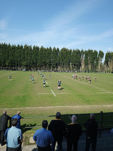 Waunarlwydd Rugby Football Club