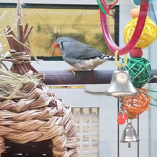 Pet Supply Store «PetSmart», reviews and photos, 625 Baltimore Blvd, Westminster, MD 21157, USA