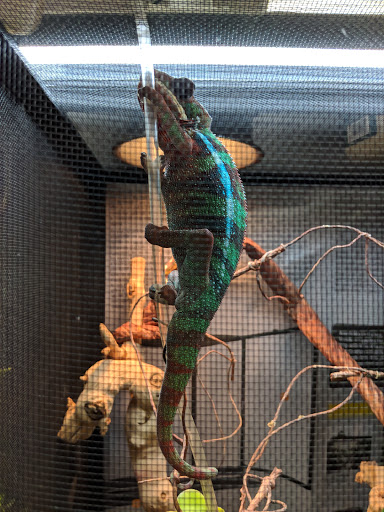 Pet Store «Animal Ark Pet Stores», reviews and photos, 33 Center St, Orem, UT 84057, USA