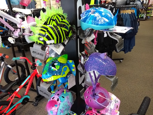 Bicycle Store «Orange Cycle», reviews and photos, 2204 Edgewater Dr, Orlando, FL 32804, USA