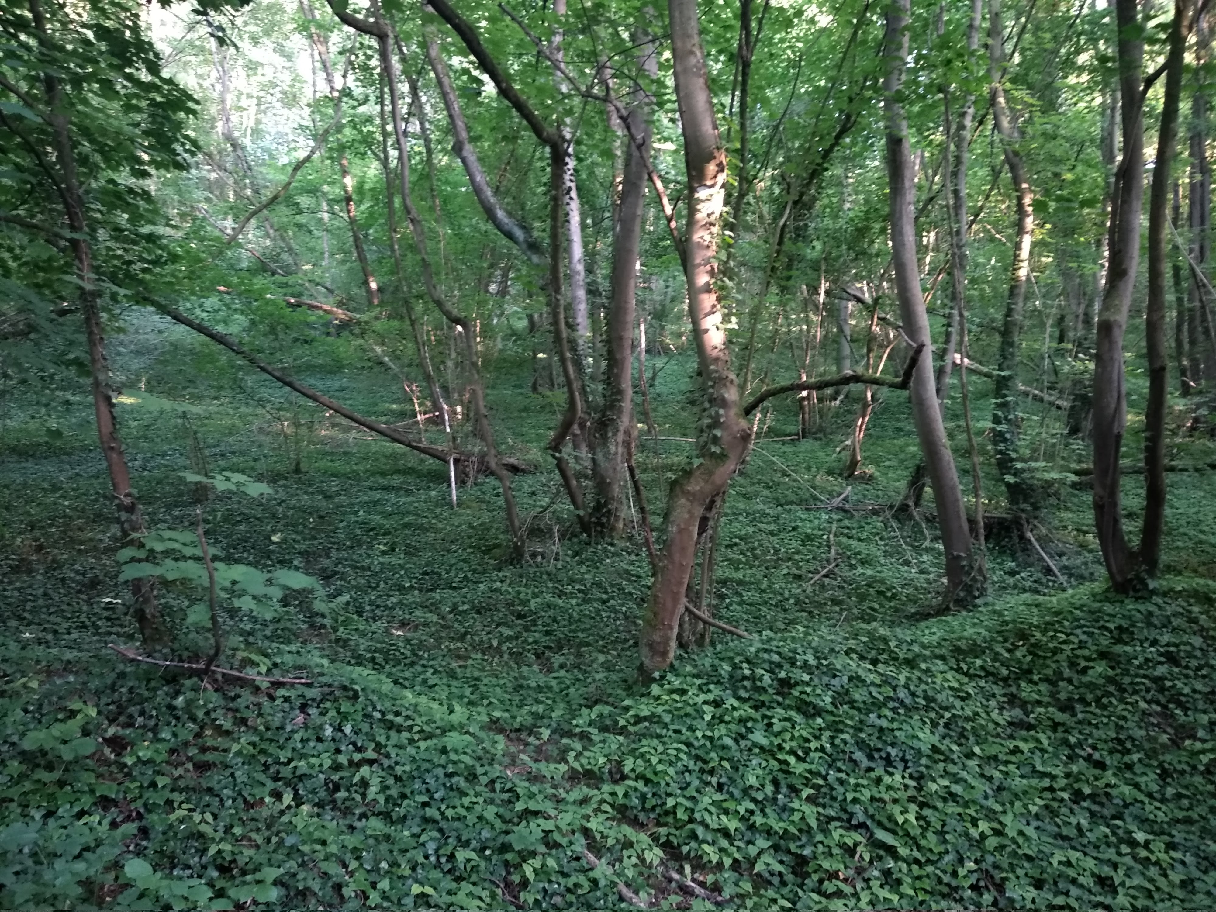 Photo n° 21 de l'avis de Taras.a fait le 17/06/2019 à 05:19