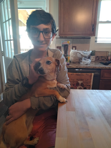 Pet Supply Store «Pet Supplies Plus», reviews and photos, 254 S Illinois Ave, Oak Ridge, TN 37830, USA