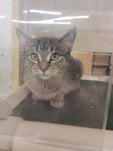 Pet Supply Store «PetSmart», reviews and photos, 2101 NJ-35, Holmdel, NJ 07733, USA