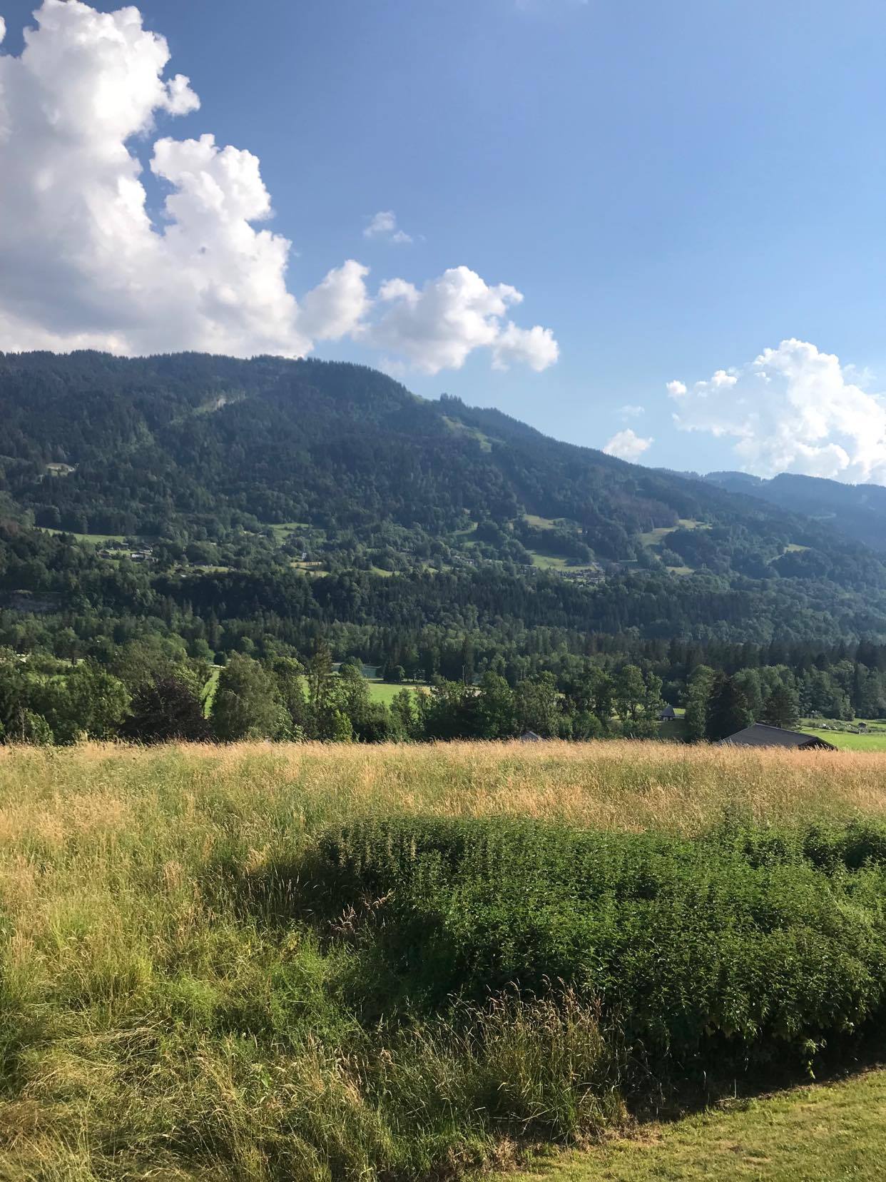 Photo n° 2 de l'avis de Antoine.e fait le 25/06/2020 à 16:34