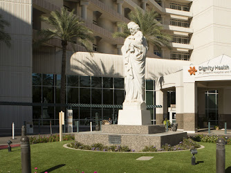 St. Joseph's Hospital and Medical Center