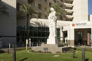 St. Joseph's Hospital and Medical Center image