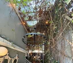 Breakfast Roma photo