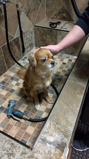 Pet Supply Store «Pet Valu», reviews and photos, 411 Valley Brook Ave, Lyndhurst, NJ 07071, USA