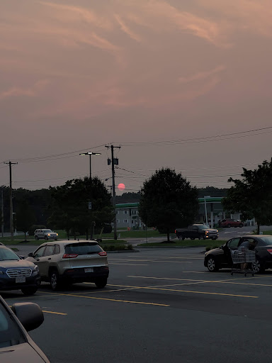 Grocery Store «Market Basket», reviews and photos, 352 W Center St, West Bridgewater, MA 02378, USA