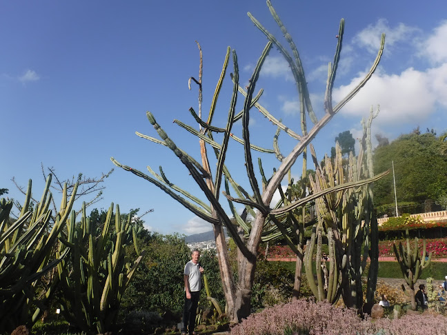 Avaliações doJardins do Monte - Sociedade de Investimentos Turísticos do Monte, Lda. em Funchal - Jardinagem