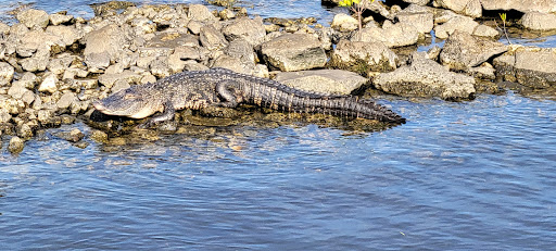 Park «Water Works Park», reviews and photos, 1710 N Highland Ave, Tampa, FL 33602, USA