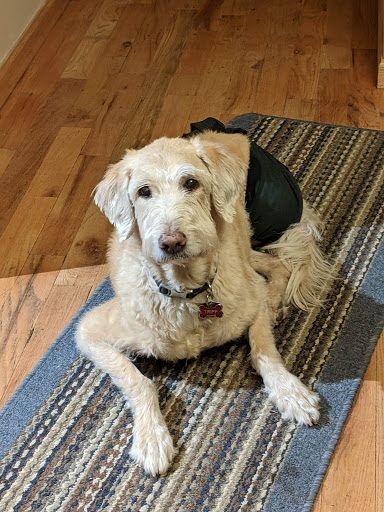 Kennel «Beaver Brook Pet Center & Pet Lodge», reviews and photos, 77 Elmgreen Ln, Evergreen, CO 80439, USA